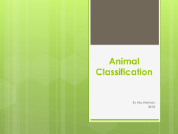 Animal Characteristics and Classification