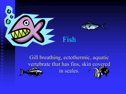 Fish - TeacherWeb