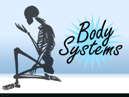 Click Here for a Human Body Systems PowerPoint