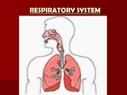 respiratory system - Livingstone High School