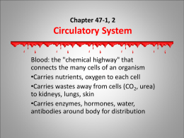 Chapter 47 - Circulatory and Respiratory Systems