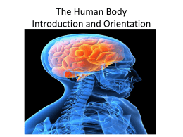 The Human Body Intro