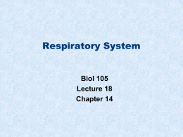 Respiratory system - Napa Valley College