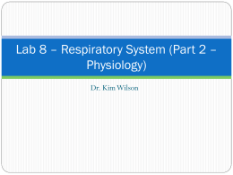 Lab 8 – Respiratory System (Part 2 – Physiology)