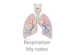 Respiration - LearningSpace