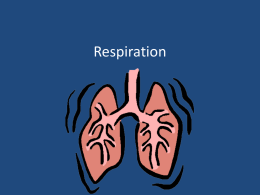 Respiration - Great Neck School District