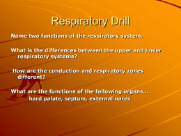 Respiratory System - Belle Vernon Area School District