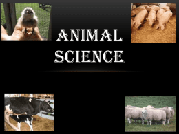 What is Animal Science - Riverside High School