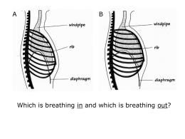 breathing_tasks