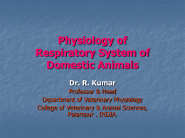 Physiology of Respiratory System of Domestic Animals