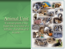 Animal Unit - S2TEM Centers SC