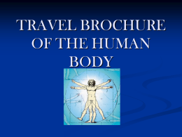 TRAVEL BROCHURE OF THE HUMAN BODY - Whitman