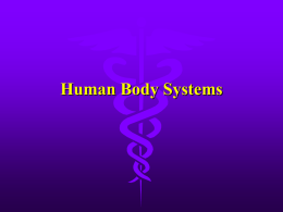 Human Body Systems - Mr. Smith’s Science Page