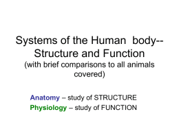 Chapter 40 – Intro to Animal Structure and Function