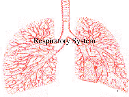 Respiratory System - riverridge210.org