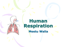 Human Respiration - NYU Polytechnic School of Engineering