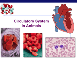 LE - 5 - Circulatory System