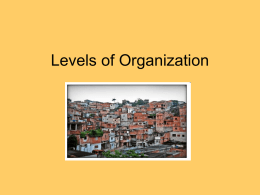 Levels of Organization ppt