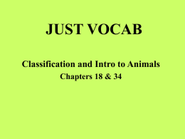 just vocab - local.brookings.k12.sd.us