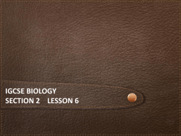 iGCSE Biology Section 2 lesson 6