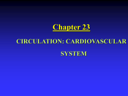 Chapter 23: Circulation