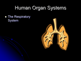 Respiratory System - Valhalla High School