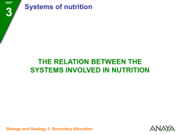 3 Relation between the systems involved in nutrition