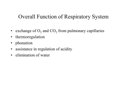 Overall Function of Respiratory System