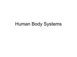 human_body_systems_thyne