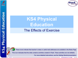 13. Effects of Exercise File