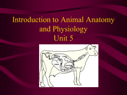 Topic 3021 Introduction to Animal Anatomy/Physiology By