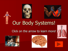 Our Body Systems!