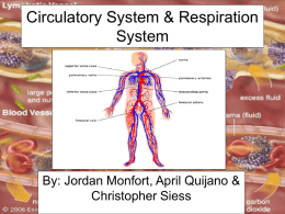 CirculatorySystem&RespirationSystemwebquest2
