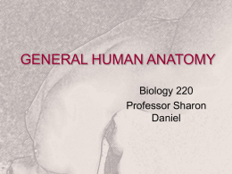 General Human Anatomy Introduction