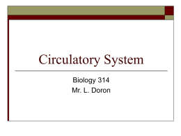 Circulatory_System