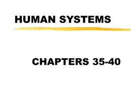 HUMAN SYSTEMS