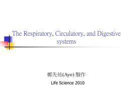 Chap.19 The Respiratory, Circulatory, and Digestive systems