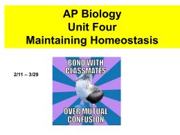 AP Homeostasis One