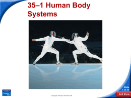 Body Systems Notes