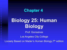Chapter 4 - Los Angeles City College
