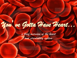 You`ve Got to Have Heart…