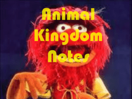 Animal Kingdom Notes