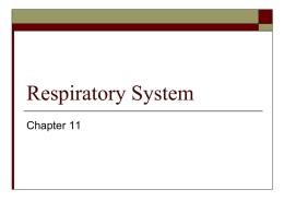 Respiratory System - Napa Valley College
