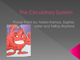 The Circulatory System - Bingham-5th-2012