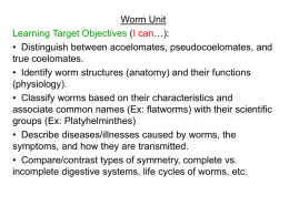 Biology\Worm Unit