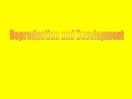 Reproducton Development