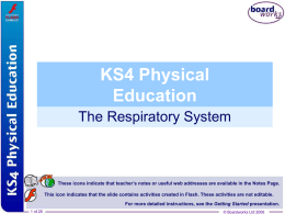 2. The Respiratory System - School