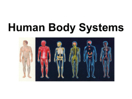 The Human Body Systemsphatmtech