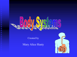 Body System 2