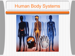 Human Body Systems Power Point